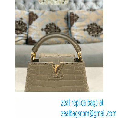 louis vuitton mini CAPUCINES bag in matt alligator leather gray with gold hardware