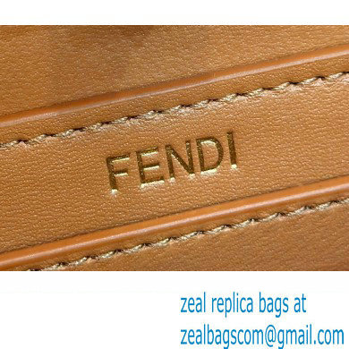 Fendi Peekaboo ISeeU Petite Bag in nappa Leather Brown 2024